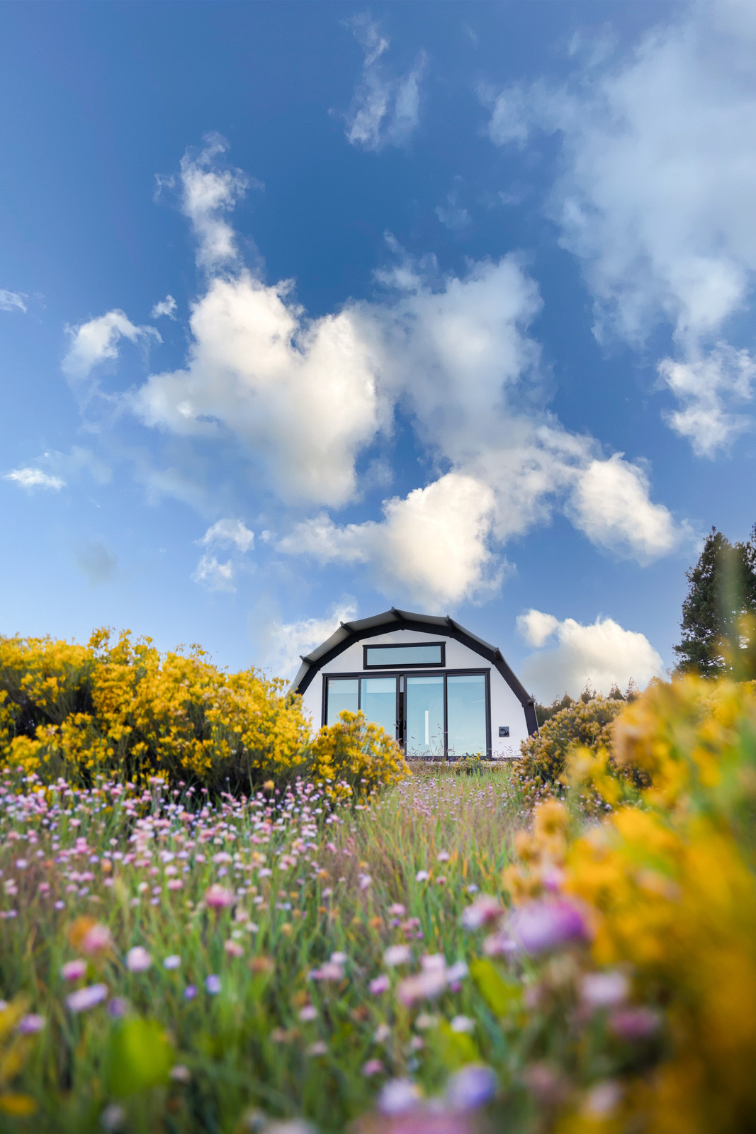 Backland Glamping Tent