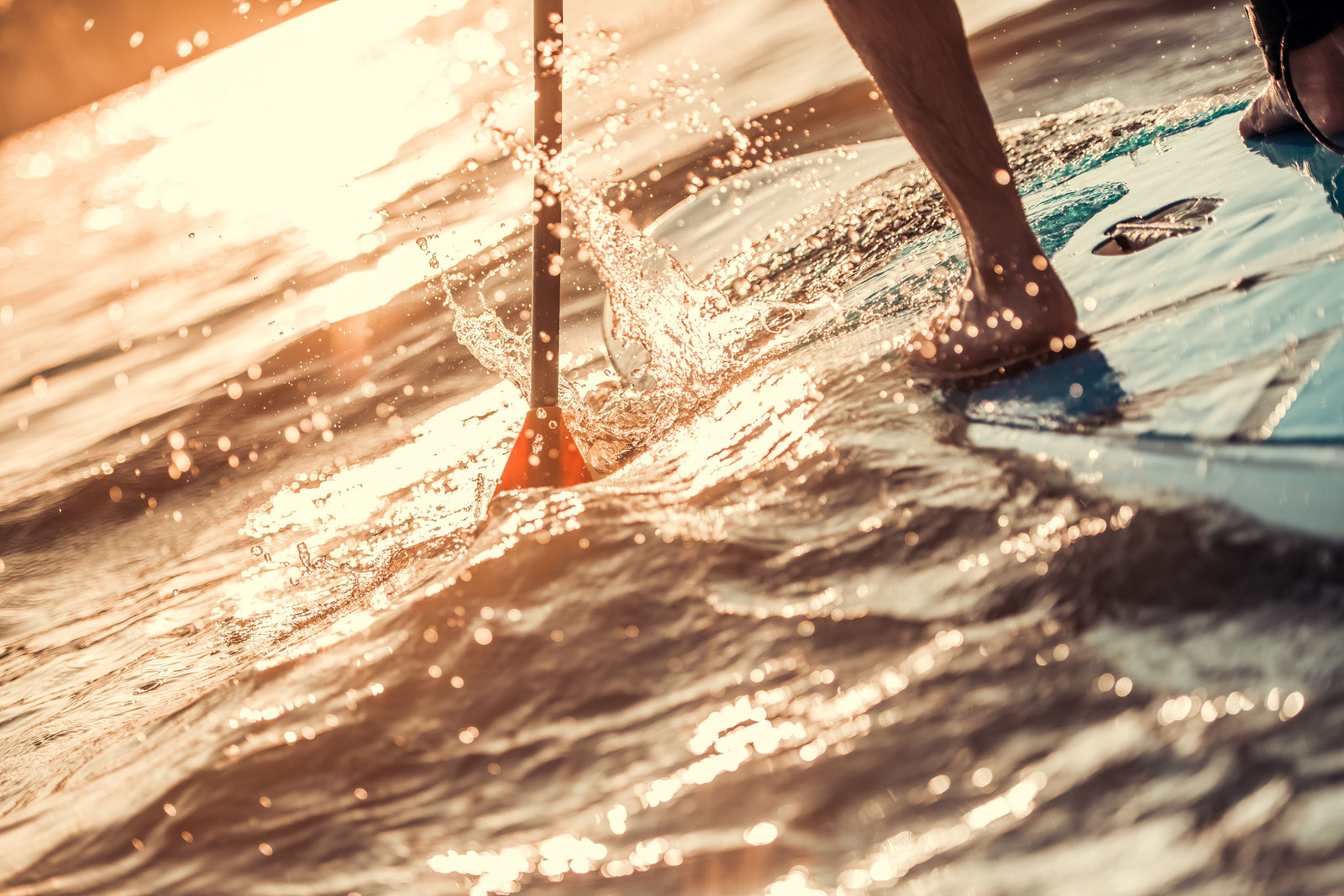 paddle boarding backland glamping