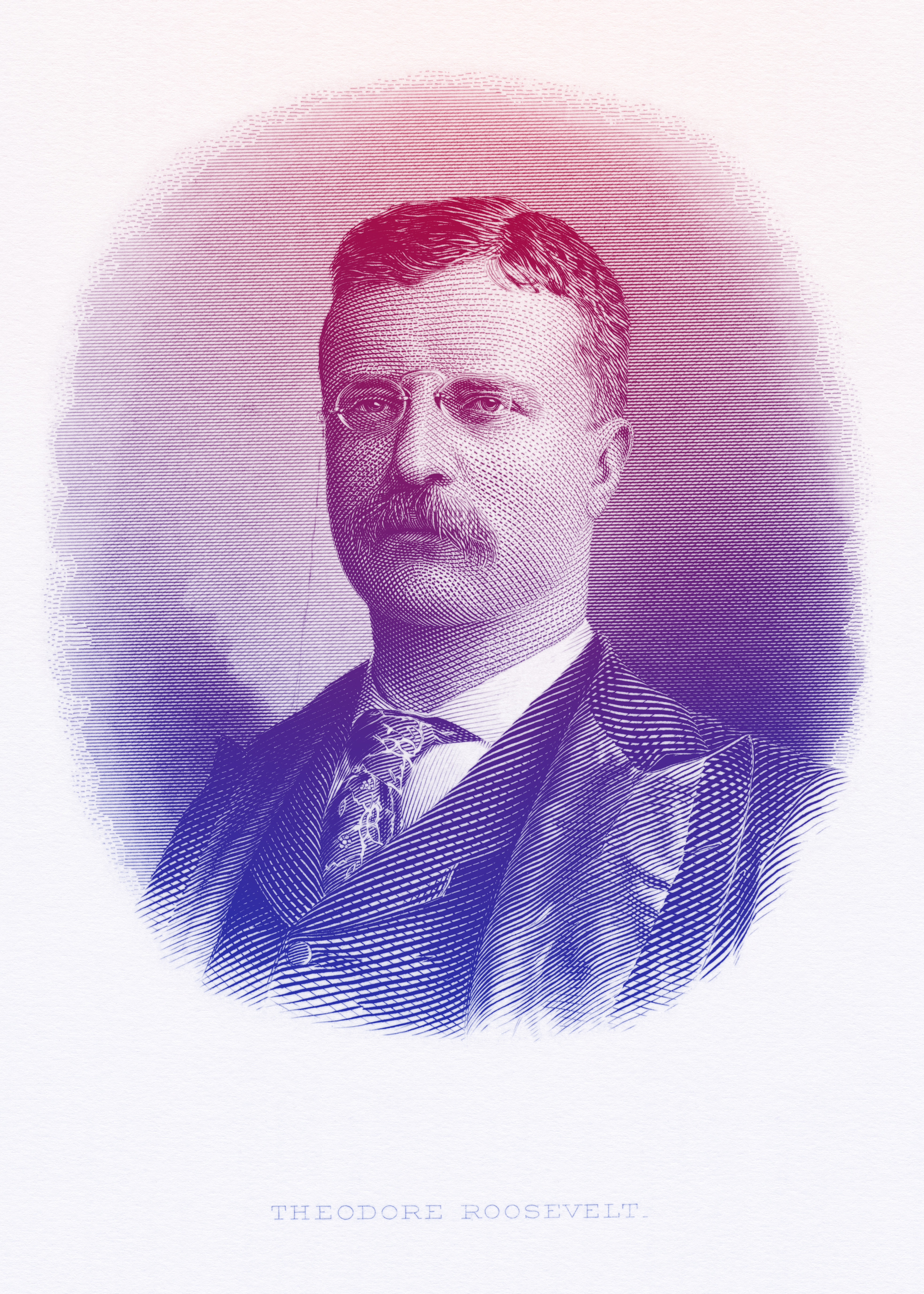 A portrait of Theodore Roosevelt
