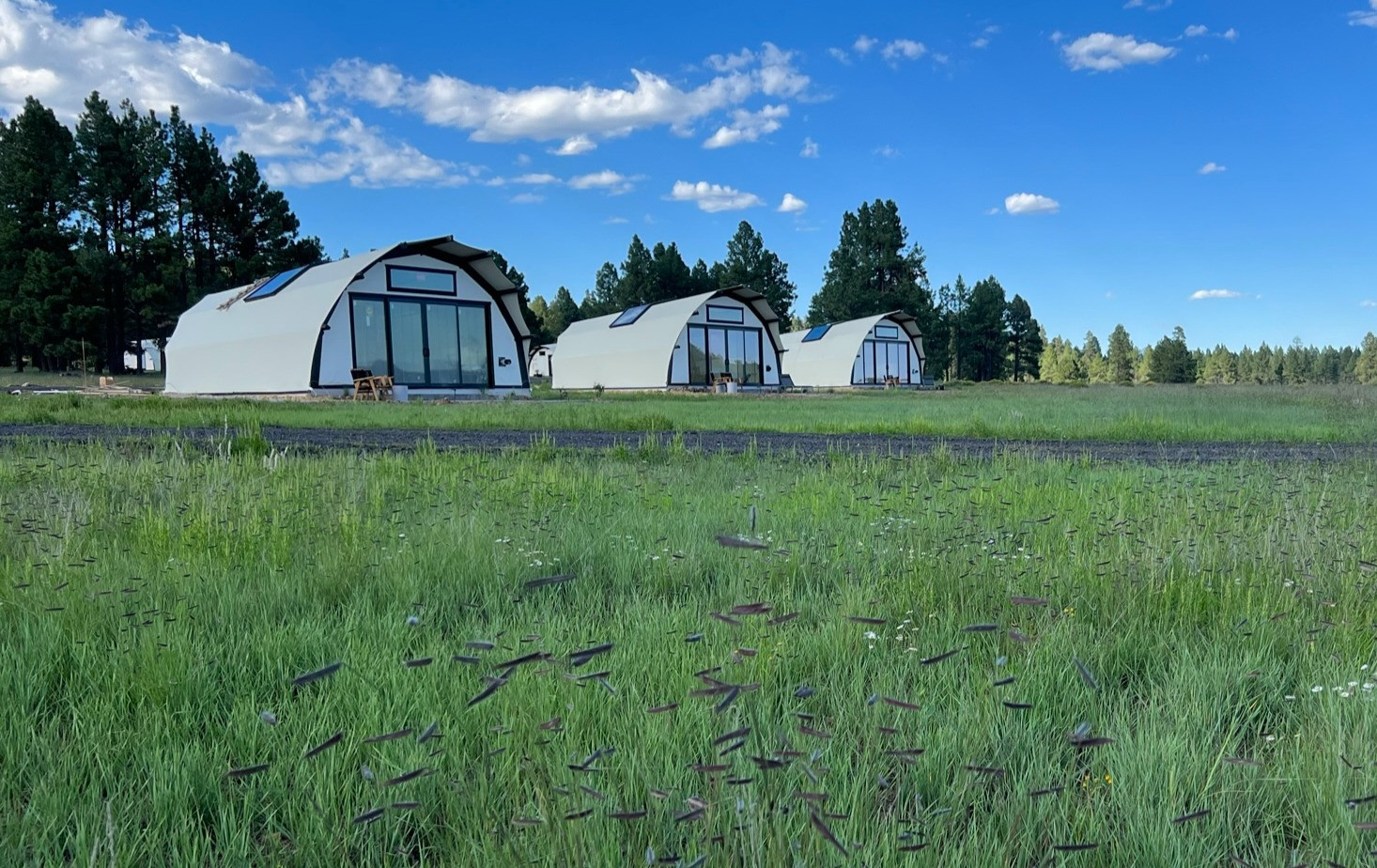 Backland Glamping Tents