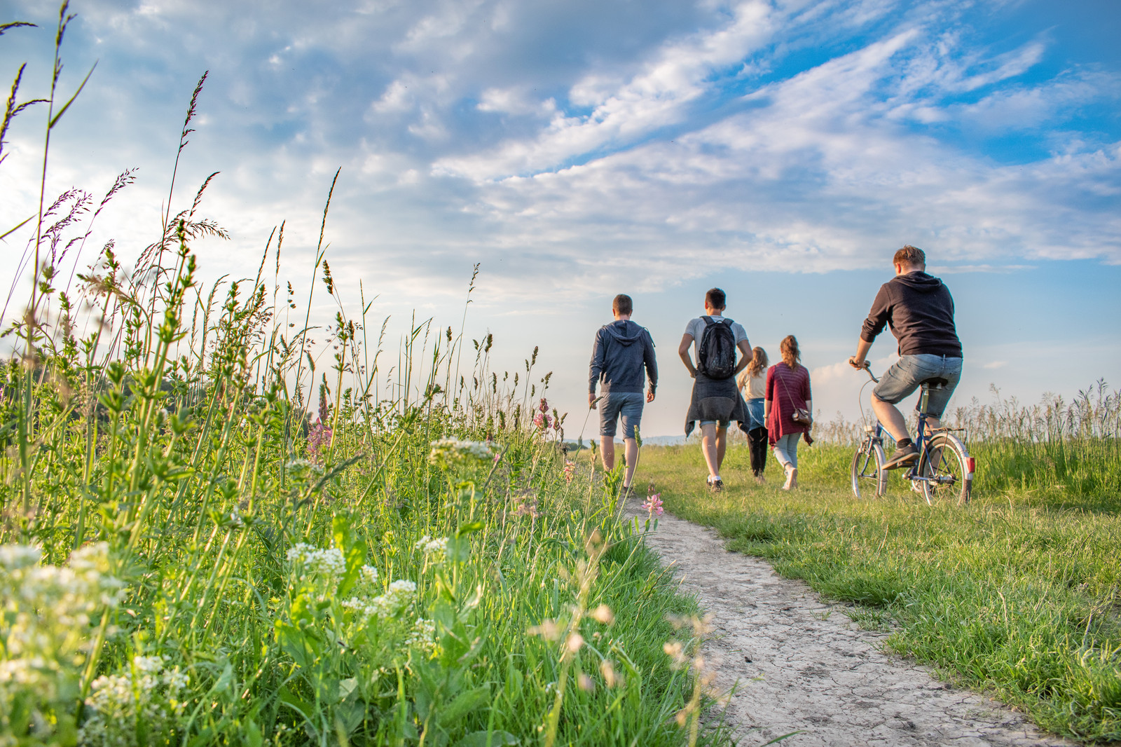 Group walking along a nature trail