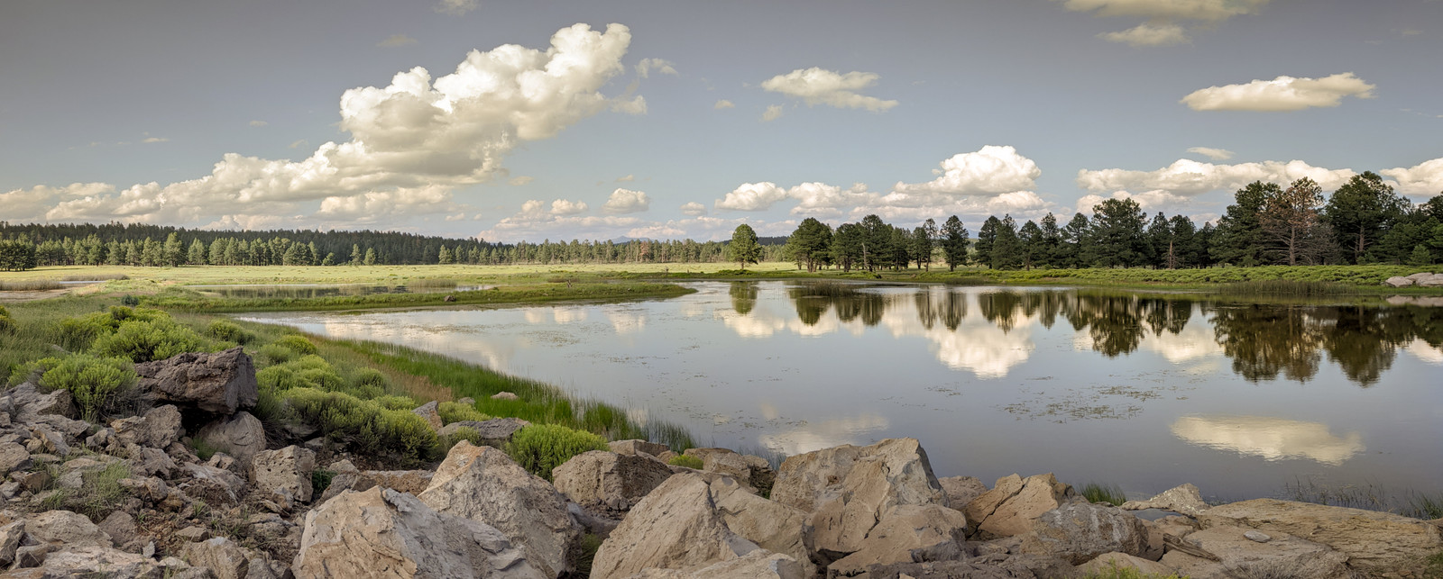 The pond at Backland