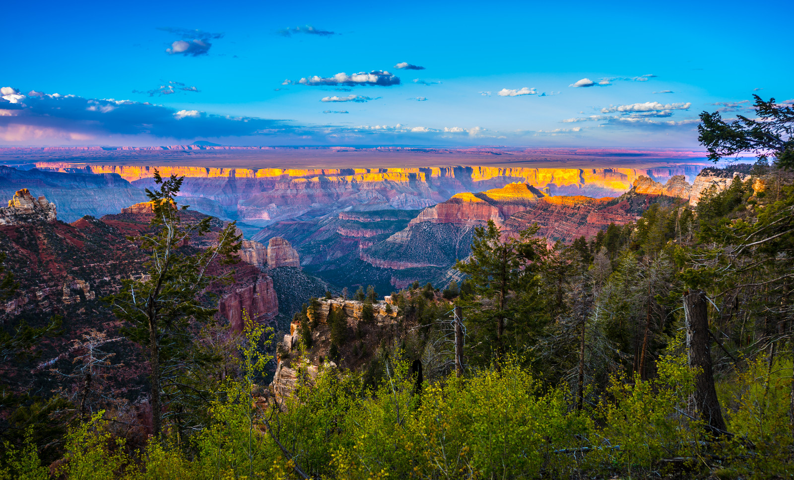 Beautiful View of the North Rim of the Grand Canyon