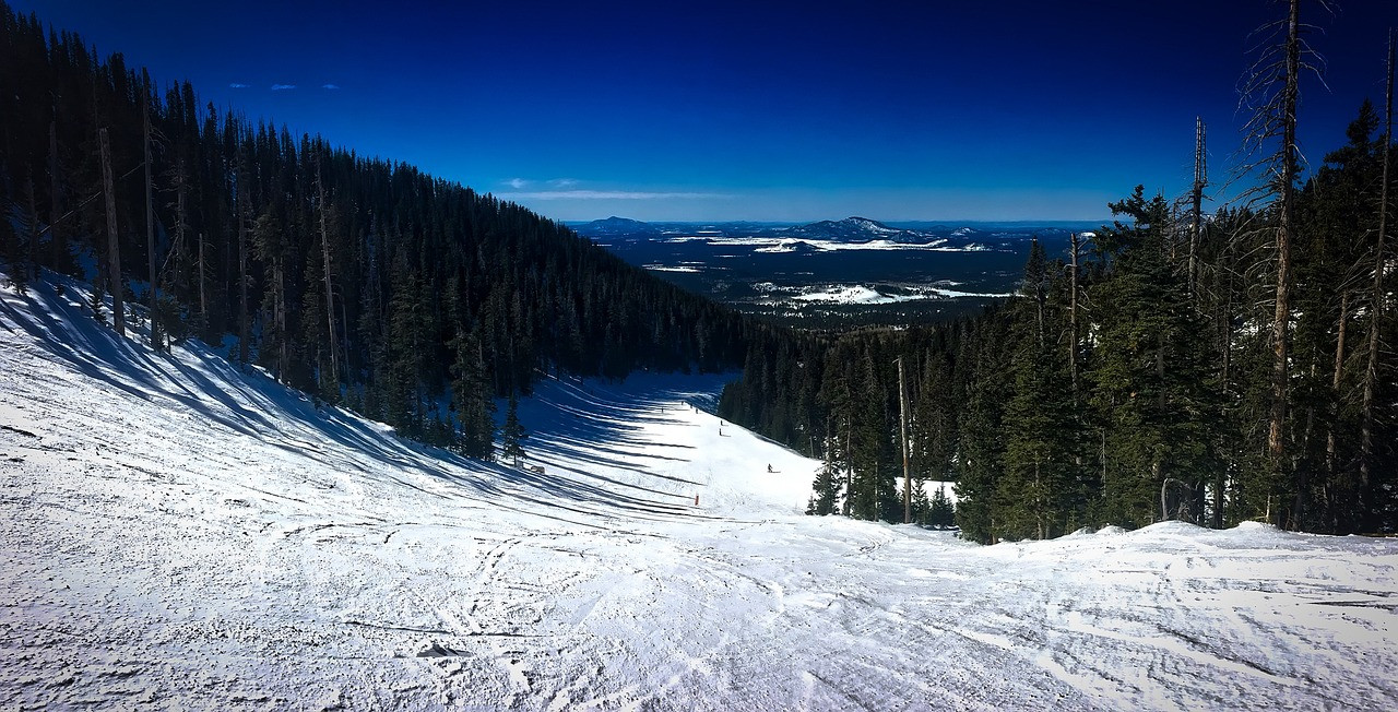 Arizona Snowbowl Ski Run