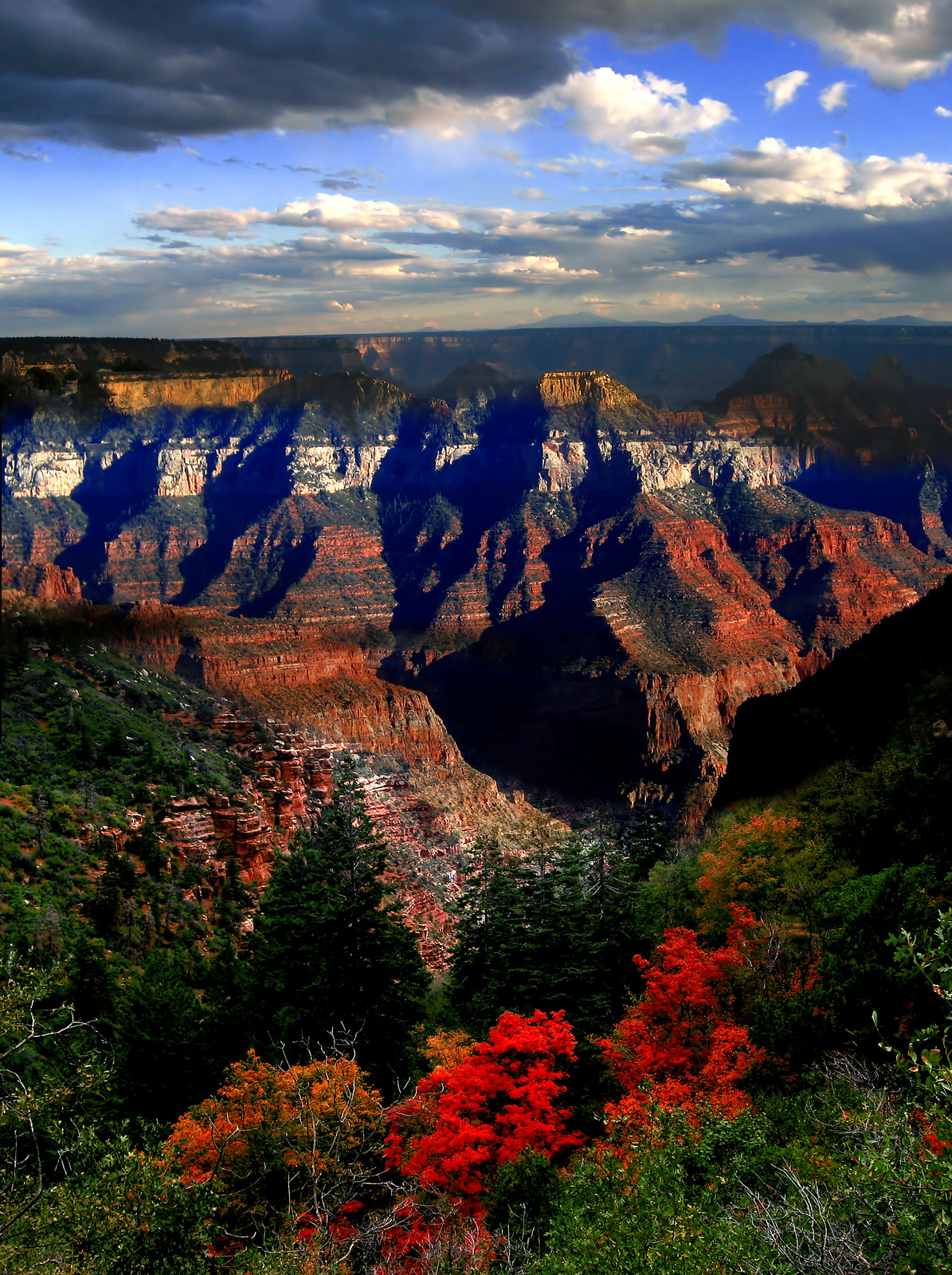 Fall Foliage at the Grand Canyon