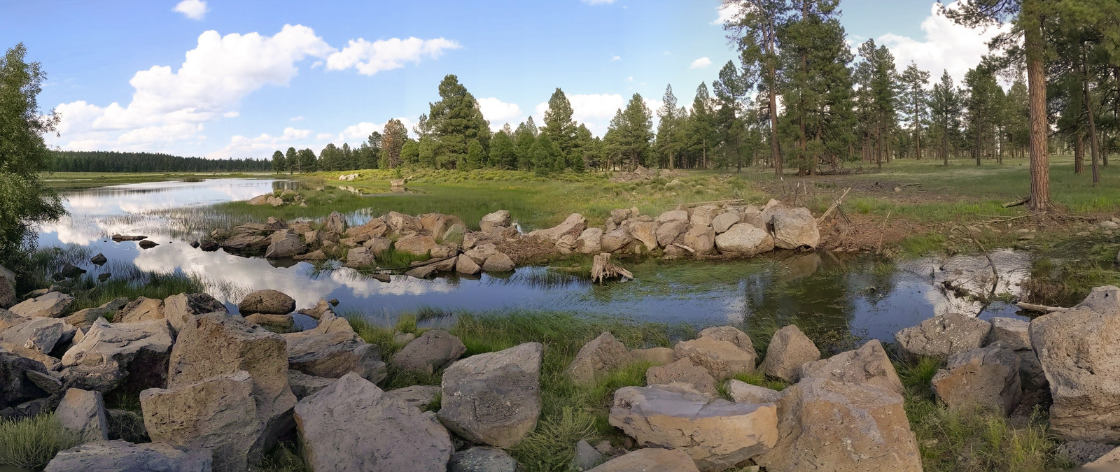 Backland Pond